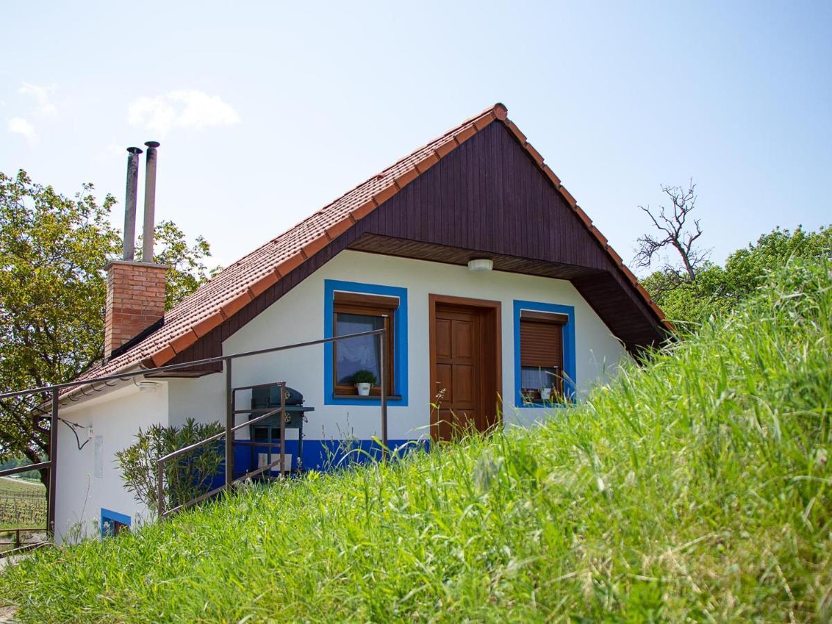 Apartman Na Vinarske Stezce Велке-Біловіце Екстер'єр фото